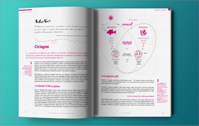 Open spread from the book explaining the cycling process that starts an aquaponic system