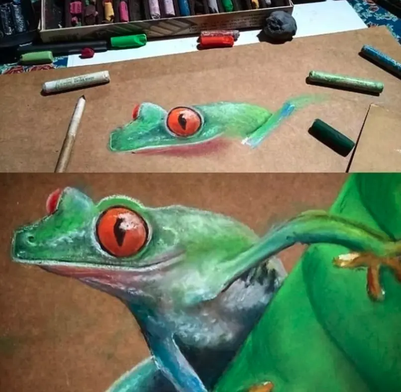 Red-eyed tree frog pastel drawing